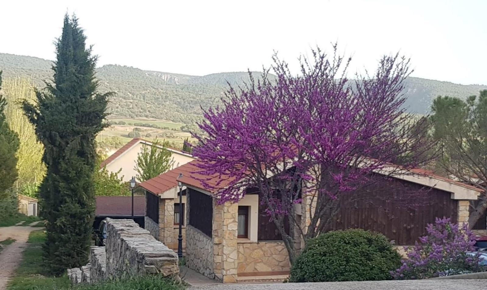 Two-Bedroom Cottage